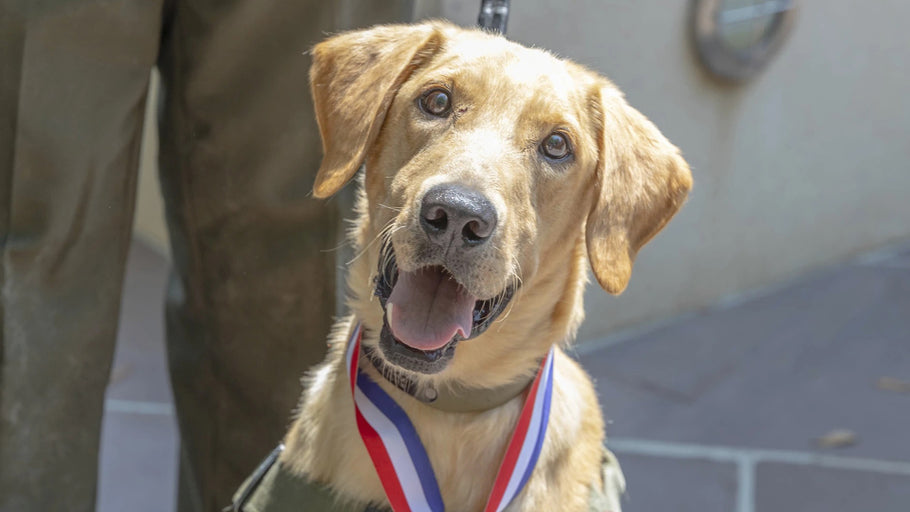 Mississippi Wildlife K9 and Officer Awarded Medal of Valor for Rescuing Missing Children